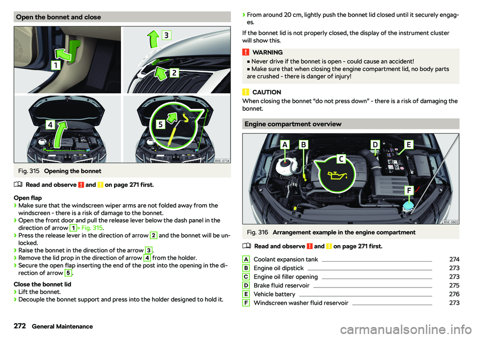 SKODA OCTAVIA 2019  Owner´s Manual Open the bonnet and closeFig. 315 
Opening the bonnet
�