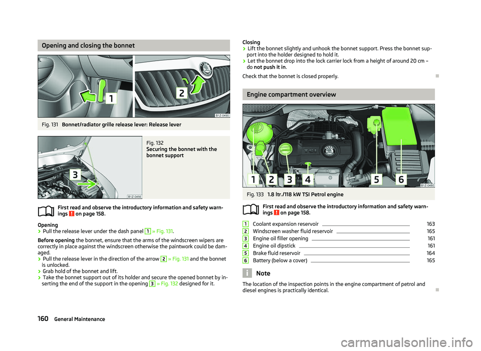 SKODA OCTAVIA 2006  Owner´s Manual Opening and closing the bonnet
Fig. 131 
Bonnet/radiator grille release lever: Release lever Fig. 132 
Securing the bonnet with the
bonnet support
First read and observe the introductory information a