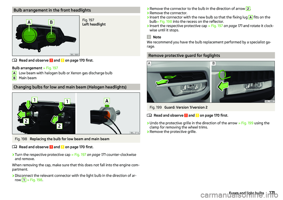 SKODA YETI 2017  Owner´s Manual Bulb arrangement in the front headlightsFig. 197 
Left headlight
Read and observe  and  on page 170 first.
Bulb arrangement » Fig. 197
Low beam with halogen bulb or Xenon gas discharge bulb
Main beam