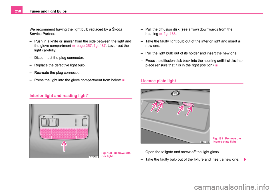 SKODA ROOMSTER 2006 1.G User Guide 
Fuses and light bulbs
258
We recommend having the light bulb replaced by a Škoda 
Service Partner.
– Push in a knife or similar from the side between the light and the glove compartment  ⇒page 2