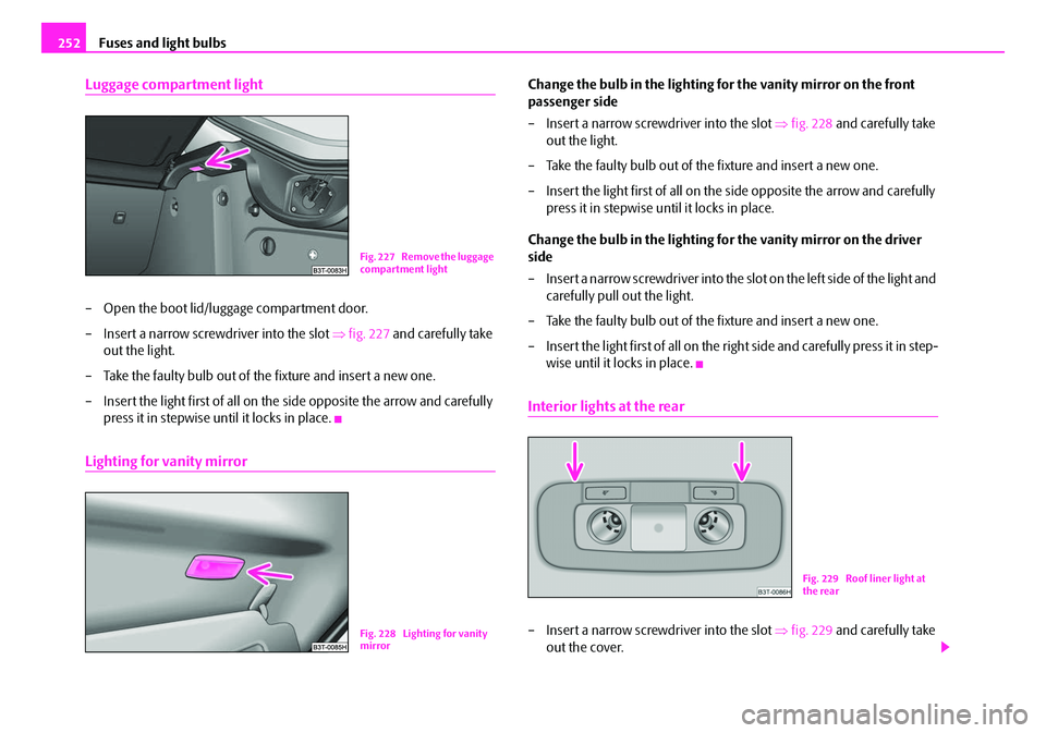 SKODA SUPERB 2008 2.G / (B6/3T) User Guide Fuses and light bulbs
252
Luggage compartment light
– Open the boot lid/luggage compartment door.
– Insert a narrow screwdriver into the slot  ⇒fig. 227  and carefully take 
out the light.
– T