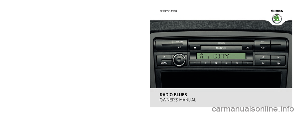 SKODA OCTAVIA 2011 2.G / (1Z) Blues Car Radio Manual 