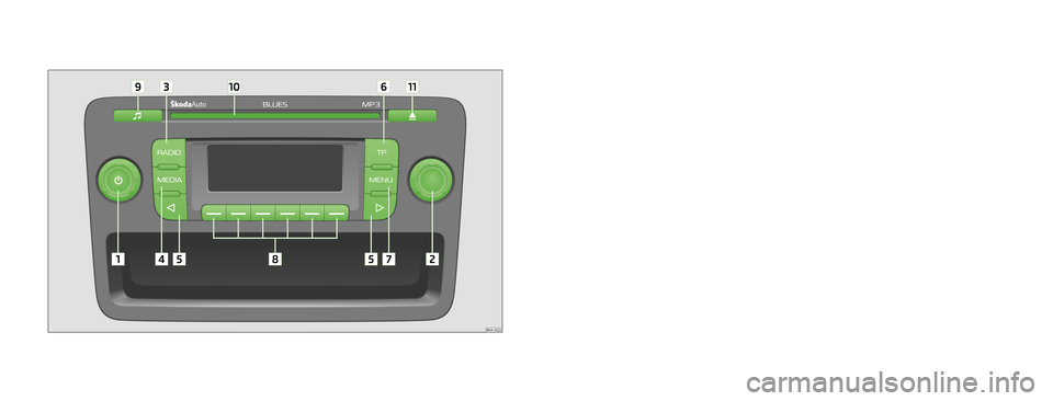 SKODA ROOMSTER 2012 1.G Blues Car Radio Manual 