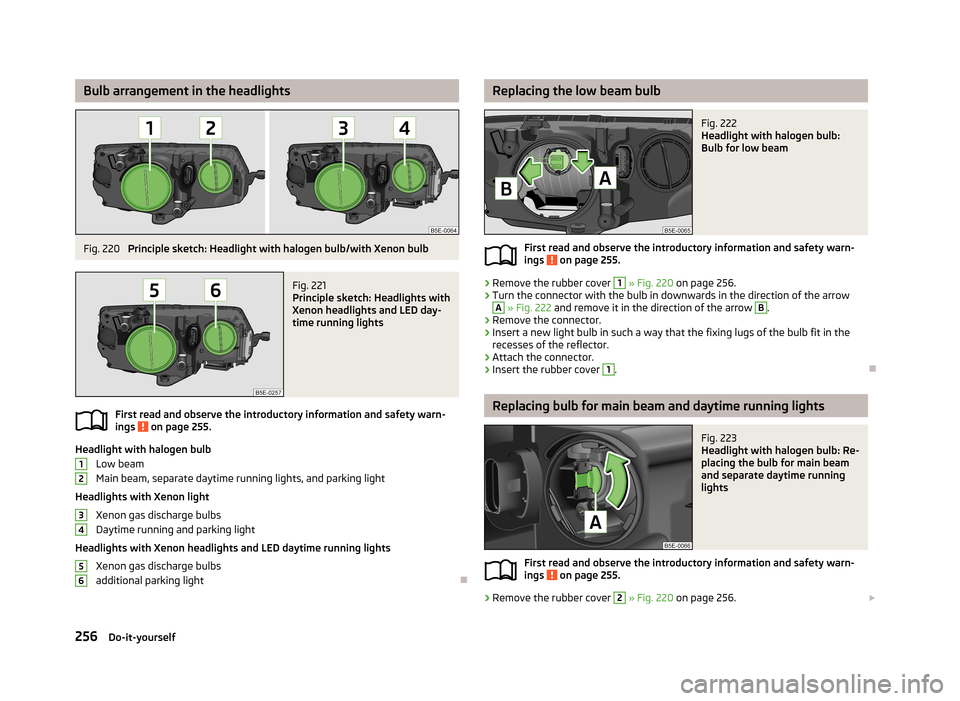 SKODA OCTAVIA 2013 3.G / (5E) Owners Manual Bulb arrangement in the headlightsFig. 220 
Principle sketch: Headlight with halogen bulb/with Xenon bulb
Fig. 221 
Principle sketch: Headlights with
Xenon headlights and LED day-
time running lights
