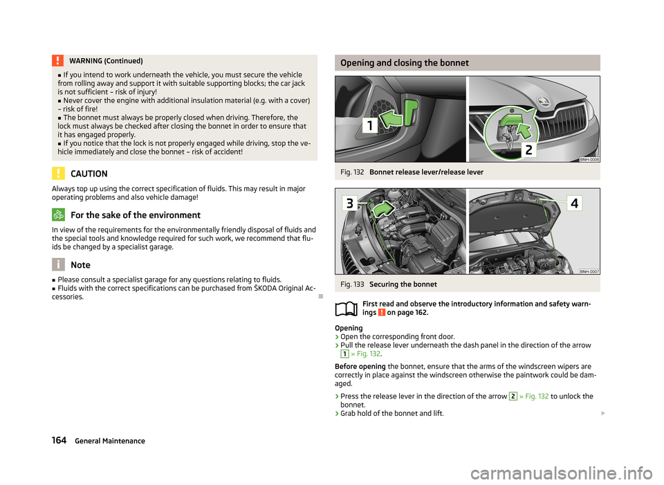 SKODA RAPID 2013 1.G Owners Guide WARNING (Continued)■If you intend to work underneath the vehicle, you must secure the vehicle
from rolling away and support it with suitable supporting blocks; the car jack
is not sufficient – ris SKODA RAPID 2013 1.G Owners Guide WARNING (Continued)■If you intend to work underneath the vehicle, you must secure the vehicle
from rolling away and support it with suitable supporting blocks; the car jack
is not sufficient – ris