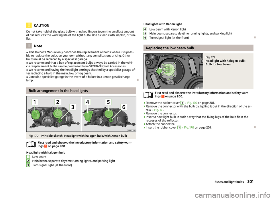 SKODA RAPID 2013 1.G Owners Manual CAUTIONDo not take hold of the glass bulb with naked fingers (even the smallest amountof dirt reduces the working life of the light bulb). Use a clean cloth, napkin, or sim-
ilar.
Note
■ This Owner