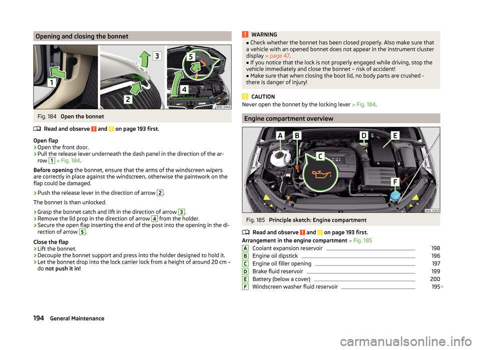 SKODA OCTAVIA 2014 3.G / (5E) User Guide Opening and closing the bonnetFig. 184 
Open the bonnet
Read and observe 
 and  on page 193 first.
Open flap
›
Open the front door.
›
Pull the release lever underneath the dash panel in the direct