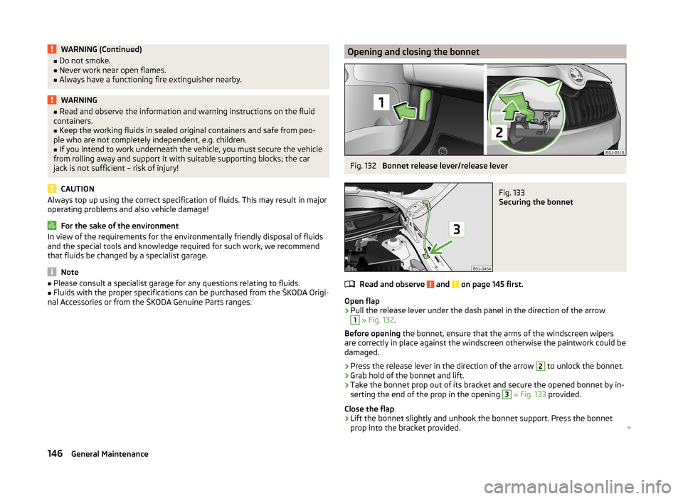 SKODA ROOMSTER 2014 1.G Owners Manual WARNING (Continued)■Do not smoke.■Never work near open flames.■
Always have a functioning fire extinguisher nearby.
WARNING■Read and observe the information and warning instructions on the flu