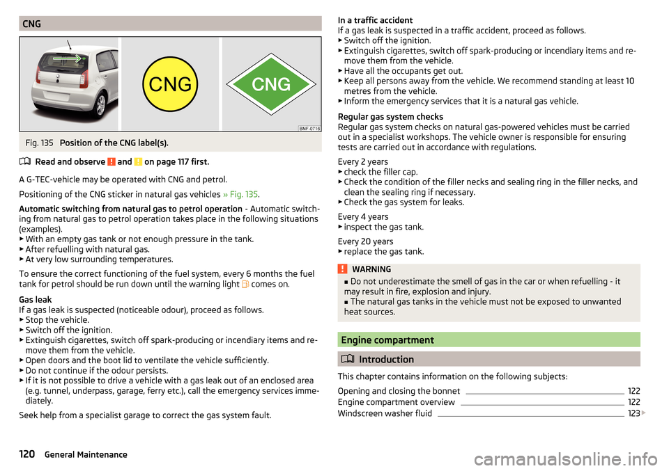 SKODA CITIGO 2016 1.G Owners Manual CNGFig. 135 
Position of the CNG label(s).
Read and observe 
 and  on page 117 first.
A G-TEC-vehicle may be operated with CNG and petrol.
Positioning of the CNG sticker in natural gas vehicles  » Fi