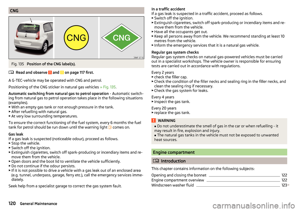 SKODA CITIGO 2016 1.G Owners Manual CNGFig. 135
Position of the CNG label(s).
Read and observe
and on page 117 first.
A G-TEC-vehicle may be operated with CNG and petrol.
Positioning of the CNG sticker in natural gas vehicles » Fi SKODA CITIGO 2016 1.G Owners Manual CNGFig. 135
Position of the CNG label(s).
Read and observe
and on page 117 first.
A G-TEC-vehicle may be operated with CNG and petrol.
Positioning of the CNG sticker in natural gas vehicles » Fi