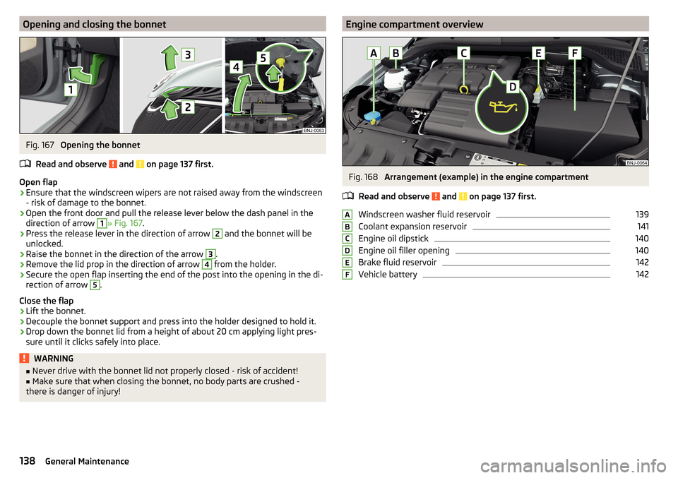 SKODA FABIA 2016 3.G / NJ User Guide Opening and closing the bonnetFig. 167 
Opening the bonnet
Read and observe 
 and  on page 137 first.
Open flap
›
Ensure that the windscreen wipers are not raised away from the windscreen
- risk of 