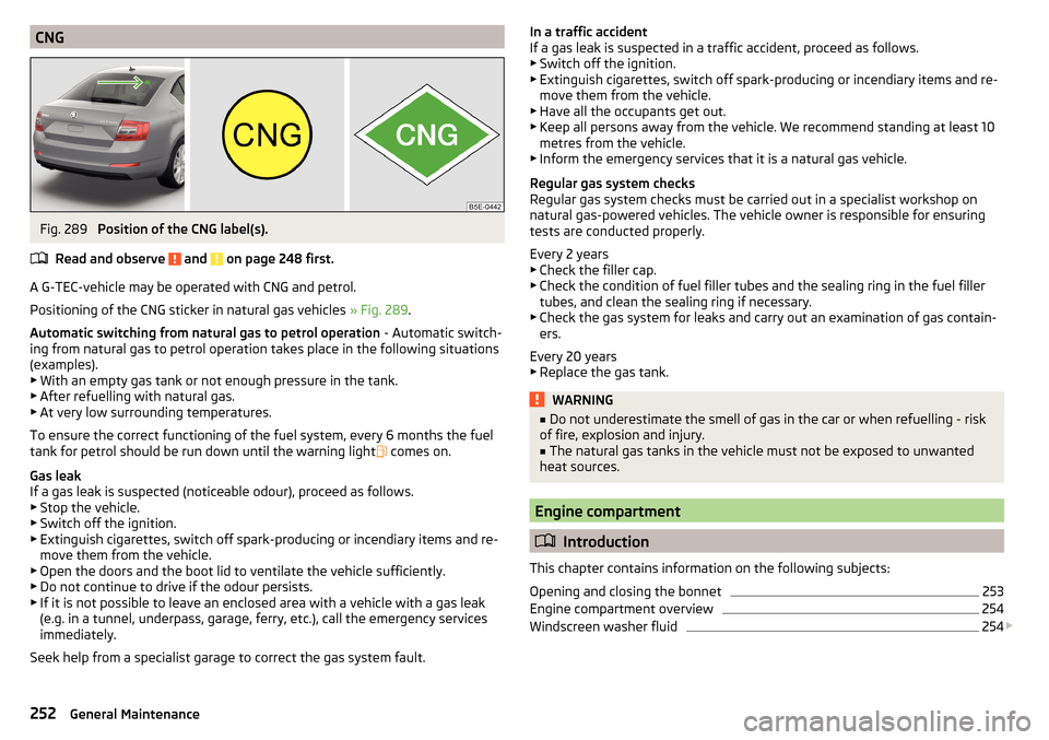 SKODA OCTAVIA 2016 3.G / (5E) Owners Manual CNGFig. 289 
Position of the CNG label(s).
Read and observe 
 and  on page 248 first.
A G-TEC-vehicle may be operated with CNG and petrol.
Positioning of the CNG sticker in natural gas vehicles  » Fi