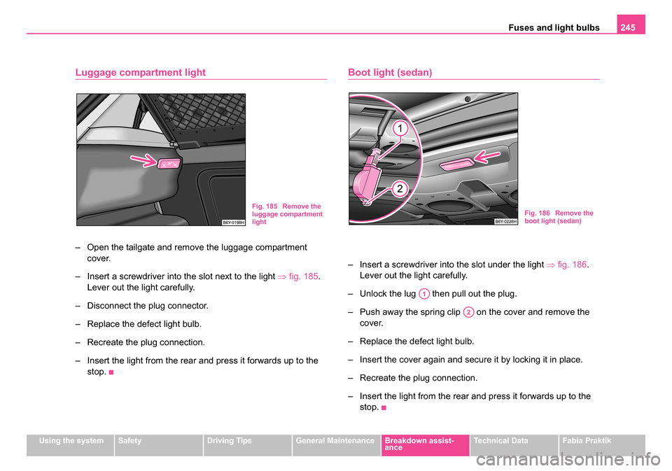 SKODA FABIA 2005 1.G / 6Y Owners Manual Fuses and light bulbs245
Using the systemSafetyDriving TipsGeneral MaintenanceBreakdown assist-
anceTechnical DataFabia Praktik
Luggage compartment light
– Open the tailgate and remove the luggage c SKODA FABIA 2005 1.G / 6Y Owners Manual Fuses and light bulbs245
Using the systemSafetyDriving TipsGeneral MaintenanceBreakdown assist-
anceTechnical DataFabia Praktik
Luggage compartment light
– Open the tailgate and remove the luggage c