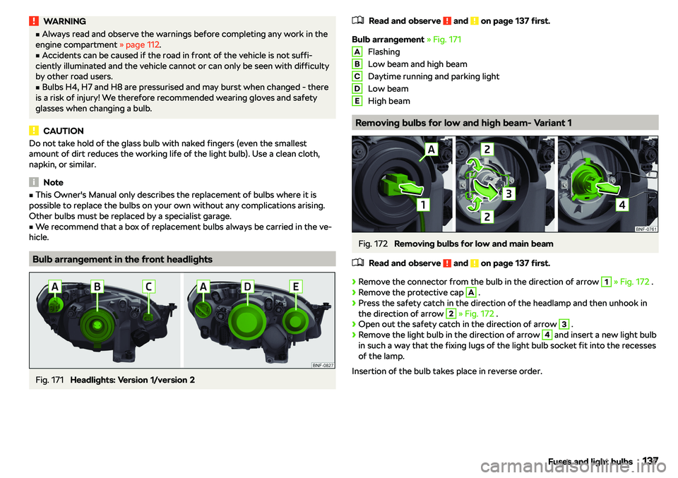 SKODA CITIGO 2019  Owners Manual WARNINGvAlways read and observe the warnings before completing any work in the
engine compartment  