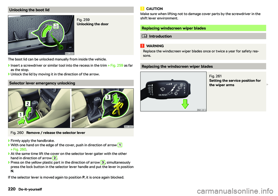 SKODA RAPID SPACEBACK 2018  Owners Manual Unlocking the boot lidFig. 259 
Unlocking the door
The boot lid can be unlocked manually from inside the vehicle.

