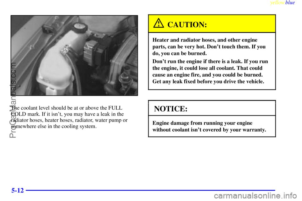 OLDSMOBILE ALERO 1999  Owners Manual yellowblue     
5-12
The coolant level should be at or above the FULL
COLD mark. If it isnt, you may have a leak in the
radiator hoses, heater hoses, radiator, water pump or
somewhere else in the coo