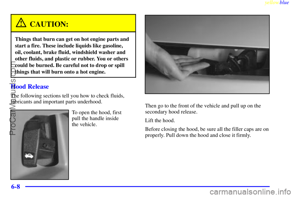OLDSMOBILE ALERO 1999  Owners Manual yellowblue     
6-8
CAUTION:
Things that burn can get on hot engine parts and
start a fire. These include liquids like gasoline,
oil, coolant, brake fluid, windshield washer and
other fluids, and plas