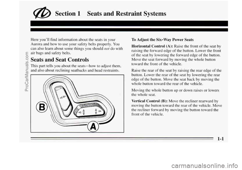 OLDSMOBILE AURORA 1995  Owners Manual @ Section 1 Seats  and  Restraint  Systems 
Here you’ll find  information  about the seats in your 
Aurora  and how  to use your  safety belts properly. 
You 
can also learn about  some  things you 