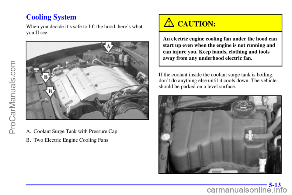 OLDSMOBILE AURORA 2002  Owners Manual 5-13
Cooling System
When you decide its safe to lift the hood, heres what
youll see:
A. Coolant Surge Tank with Pressure Cap
B. Two Electric Engine Cooling Fans
CAUTION:
An electric engine cooling 
