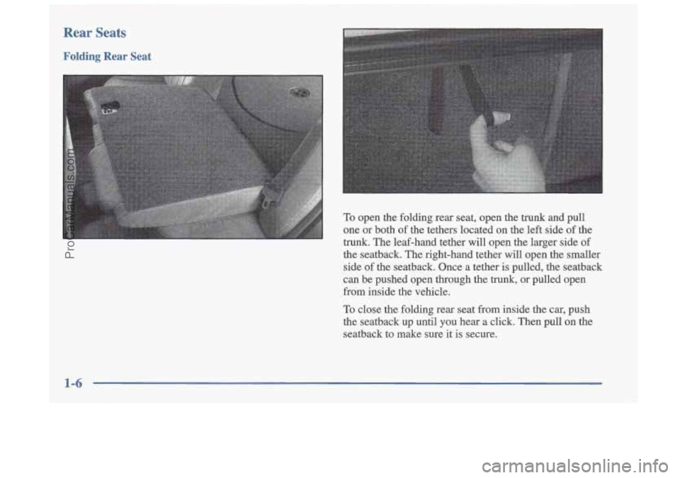 OLDSMOBILE CUTLASS 1997 User Guide Rear  Seats 
Folding Rear Seat 
To  open  the folding  rear seat, open  the  trunk  and  pull 
one  or  both  of the  tethers  located  on  the  left side  of the 
trunk. The  leaf-hand  tether  will 