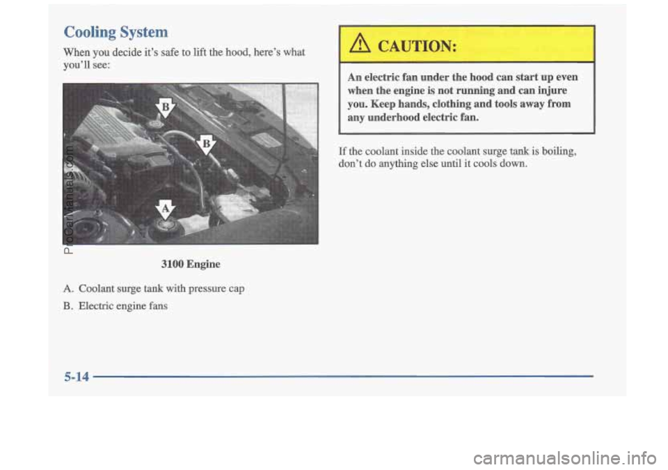OLDSMOBILE CUTLASS 1997  Owners Manual Cooling System 
When  you  decide  it’s safe to  lift  the  hood,  here’s  what 
you’ll  see: 
An  electric  fan  under  the  hood  can start up  even 
when  the  engine 
is not  running  and  c