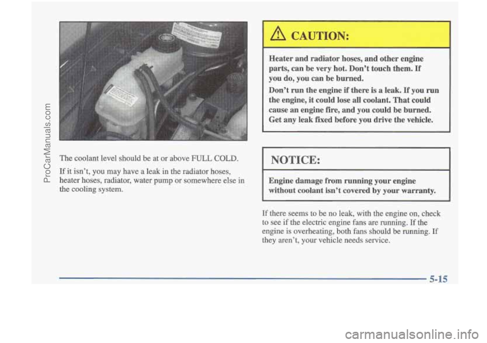 OLDSMOBILE CUTLASS 1997 Service Manual The coolant level should be at or above FULL COLD.
If it isn’t, you may have a leak in the radiator hoses,
heater hoses, radiator, water pump
or somewhere else in
the cooling OLDSMOBILE CUTLASS 1997 Service Manual The coolant level should be at or above FULL COLD.
If it isn’t, you may have a leak in the radiator hoses,
heater hoses, radiator, water pump
or somewhere else in
the cooling