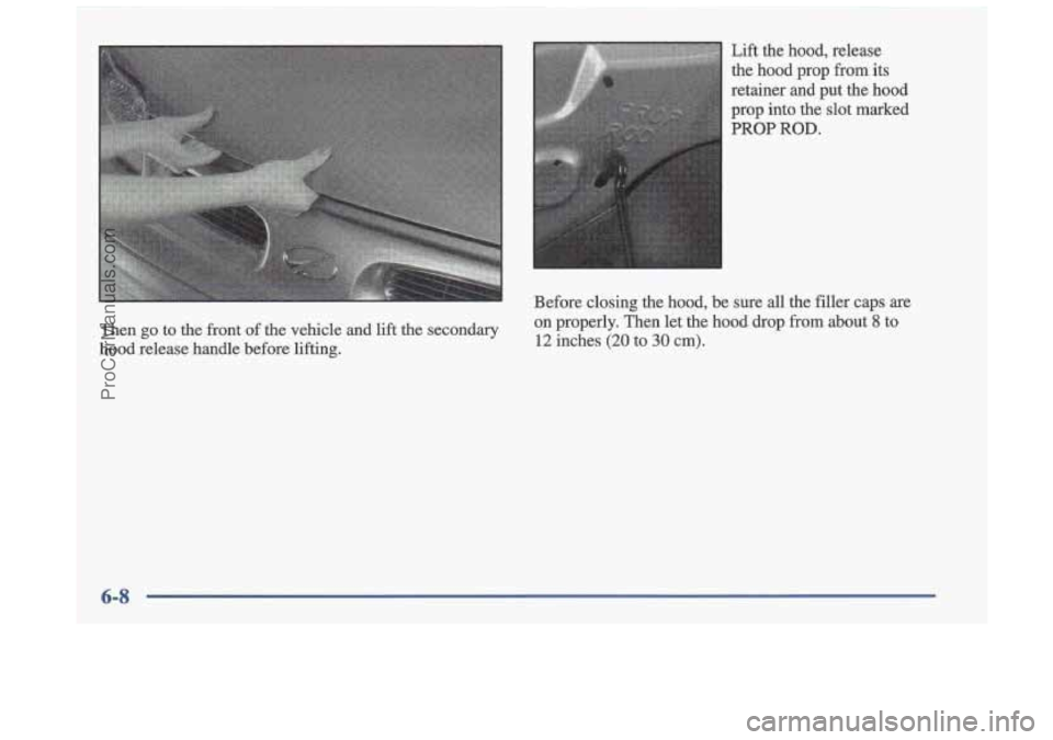 OLDSMOBILE CUTLASS 1997 Owners Manual Then go to the front of the vehicle and lift the secondary
hood release handle before lifting. Lift the
hood, release
the hood prop from
its
retainer and put the hood
prop in OLDSMOBILE CUTLASS 1997 Owners Manual Then go to the front of the vehicle and lift the secondary
hood release handle before lifting. Lift the
hood, release
the hood prop from
its
retainer and put the hood
prop in
