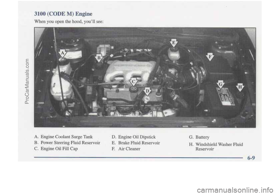 OLDSMOBILE CUTLASS 1997 Workshop Manual 3100 (CODE M) Engine
When you open the hood, youll see:
I A.. Engine Coalant Surge Tank D. Engine Oi€ Dipstick G. Battery
B. Power Steering Fluid Reservoir E. Brake Fluid Reservoir
C. En OLDSMOBILE CUTLASS 1997 Workshop Manual 3100 (CODE M) Engine
When you open the hood, youll see:
I A.. Engine Coalant Surge Tank D. Engine Oi€ Dipstick G. Battery
B. Power Steering Fluid Reservoir E. Brake Fluid Reservoir
C. En
