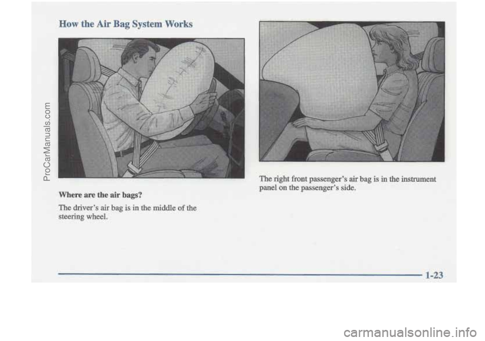 OLDSMOBILE CUTLASS 1997  Owners Manual How the Air Bag System Works 
Where are  the  air bags? 
The driver’s air bag is in the  middle of the 
steering  wheel. 
1-23 
ProCarManuals.com 