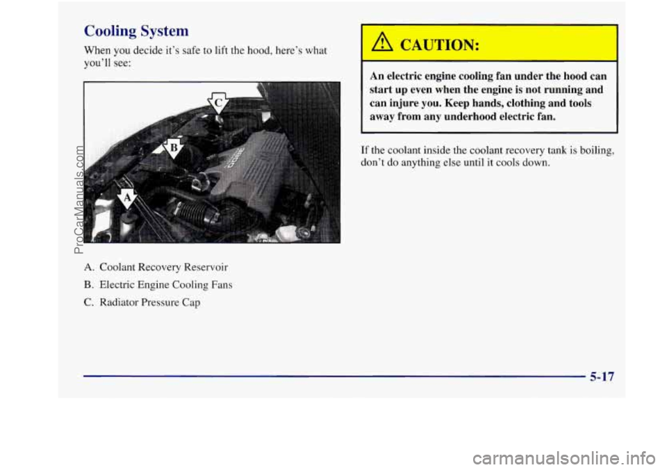 OLDSMOBILE INTRIGUE 1998  Owners Manual Cooling System 
When you decide  it’s  safe  to  lift the hood, here’s what 
you’ll see: 
A. Coolant Recovery  Reservoir 
B. Electric Engine  Cooling Fans 
C. Radiator  Pressure  Cap 
I A CAUTIO
