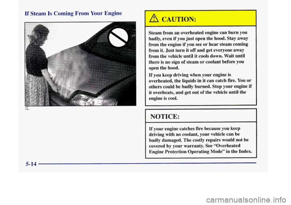 OLDSMOBILE SILHOUETTE 1998  Owners Manual If Steam Is Coming From Your Engine 
Steam  from  an  overheated  engine  can  burn  you 
badly,  even  if you  just  open  the  hood. Stay 
away 
from  the  engine  if you  see or  hear  steam  comin