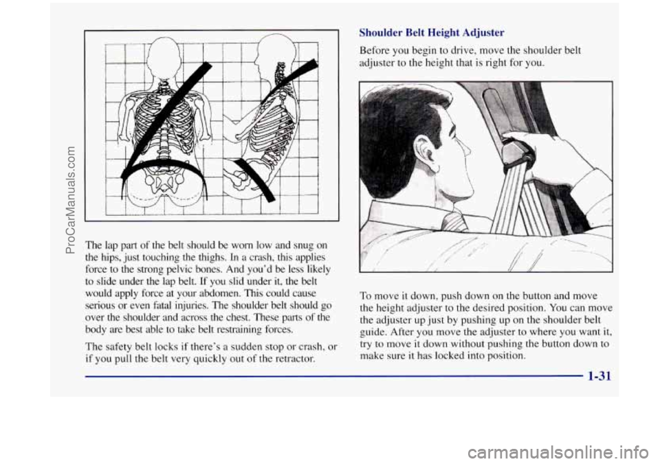 OLDSMOBILE SILHOUETTE 1998 Service Manual The lap part of the belt should be worn low and snug on
the hips, just touching
the thighs. In a crash, this applies
force to the strong pelvic bones. And youd be less likely OLDSMOBILE SILHOUETTE 1998 Service Manual The lap part of the belt should be worn low and snug on
the hips, just touching
the thighs. In a crash, this applies
force to the strong pelvic bones. And youd be less likely