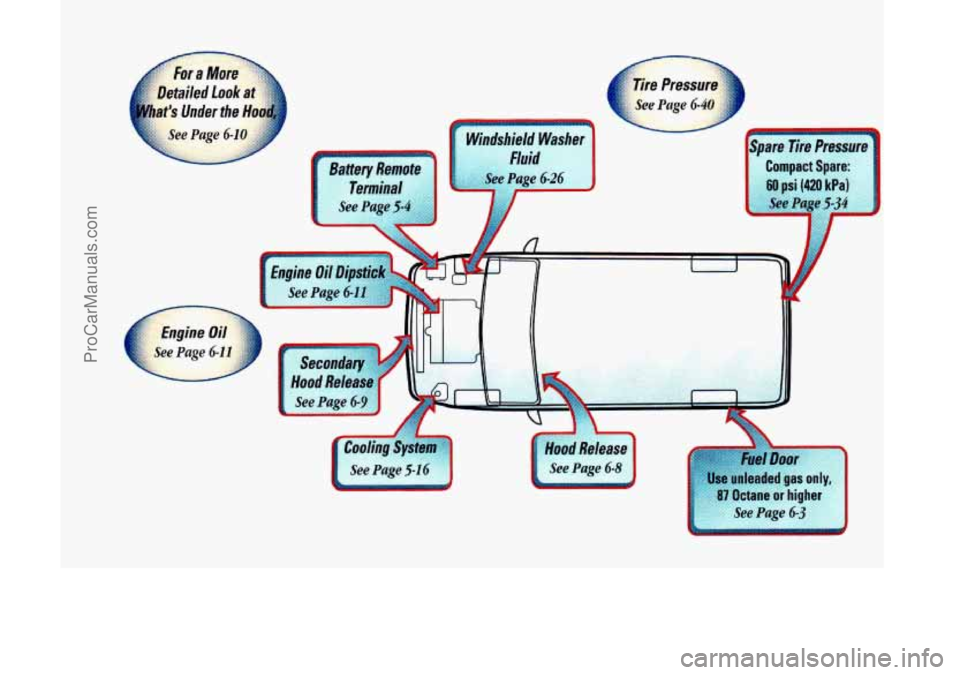 OLDSMOBILE SILHOUETTE 1998 Owners Manual .
Compact Spare:
60 psi (420 kPa)
Page 5-34
I
ProCarManuals.com OLDSMOBILE SILHOUETTE 1998 Owners Manual .
Compact Spare:
60 psi (420 kPa)
Page 5-34
I
ProCarManuals.com
