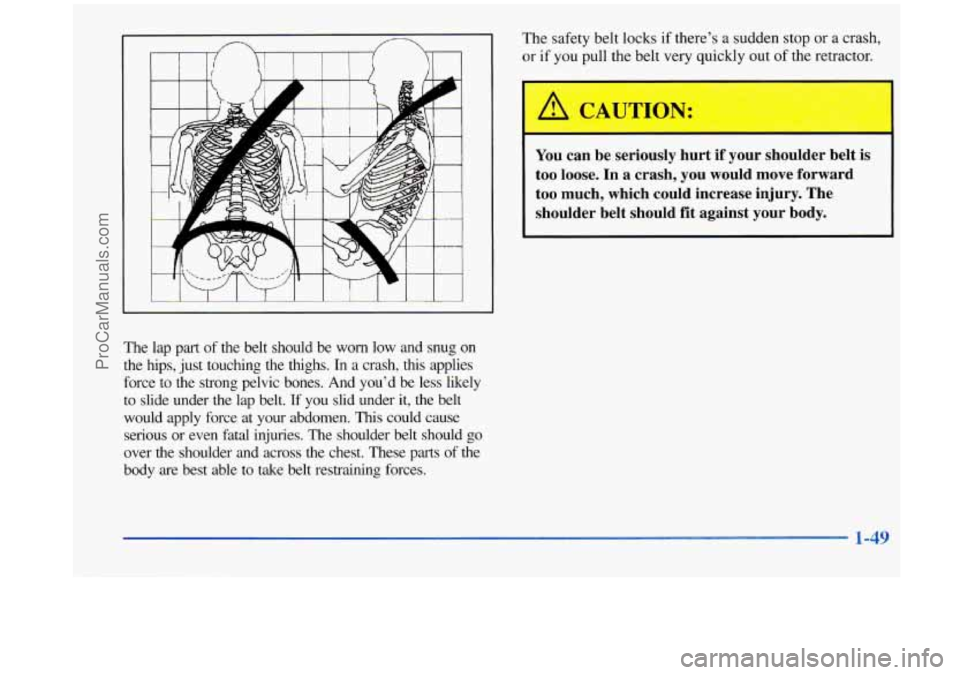 OLDSMOBILE SILHOUETTE 1998 Repair Manual n /- I
I
The lap part of the belt should be worn low and snug on
the hips, just touching the thighs. In a crash, this applies
force to the strong pelvic bones. And you’d be OLDSMOBILE SILHOUETTE 1998 Repair Manual n /- I
I
The lap part of the belt should be worn low and snug on
the hips, just touching the thighs. In a crash, this applies
force to the strong pelvic bones. And you’d be
