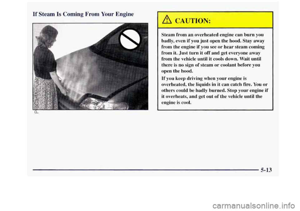 OLDSMOBILE SILHOUETTE 1997 Owners Manual If Steam Is Coming From Your Engine
Steam from an overheated engine can burn you
badly, even
if you just open the hood. Stay away
from the engine if you see or hear steam com OLDSMOBILE SILHOUETTE 1997 Owners Manual If Steam Is Coming From Your Engine
Steam from an overheated engine can burn you
badly, even
if you just open the hood. Stay away
from the engine if you see or hear steam com