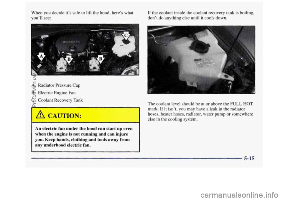 OLDSMOBILE SILHOUETTE 1997 Owners Manual When you decide it’s safe to lift the hood, here’s what
you’ll see:
A. Radiator Pressure Cap
B. Electric Engine Fan
C. Coolant Recovery Tank If
the coolant inside the coo OLDSMOBILE SILHOUETTE 1997 Owners Manual When you decide it’s safe to lift the hood, here’s what
you’ll see:
A. Radiator Pressure Cap
B. Electric Engine Fan
C. Coolant Recovery Tank If
the coolant inside the coo