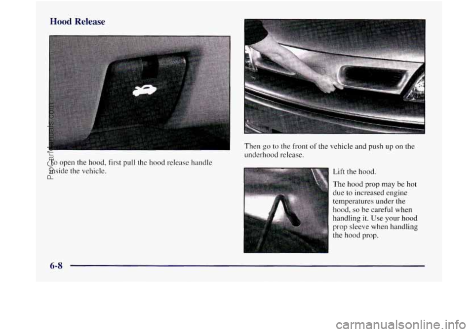 OLDSMOBILE SILHOUETTE 1997 Owners Manual Hood Release
Then go to the front of the vehicle and push up on the
To open the hood, first pull the hood release handle
inside the vehicle. underhood release.
Lift the hood.
The hood prop OLDSMOBILE SILHOUETTE 1997 Owners Manual Hood Release
Then go to the front of the vehicle and push up on the
To open the hood, first pull the hood release handle
inside the vehicle. underhood release.
Lift the hood.
The hood prop