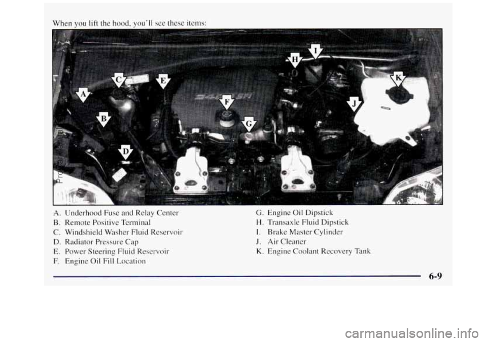 OLDSMOBILE SILHOUETTE 1997  Owners Manual Nhen you lift the hood, you’ll see these  items: 
A. Underhood  Fuse and Relay  Center 
B. Remote Positive Terminal 
C. Windshield Washer Fluid  Reservoir 
D. Radiator  Pressure  Cap 
E. Power Steer