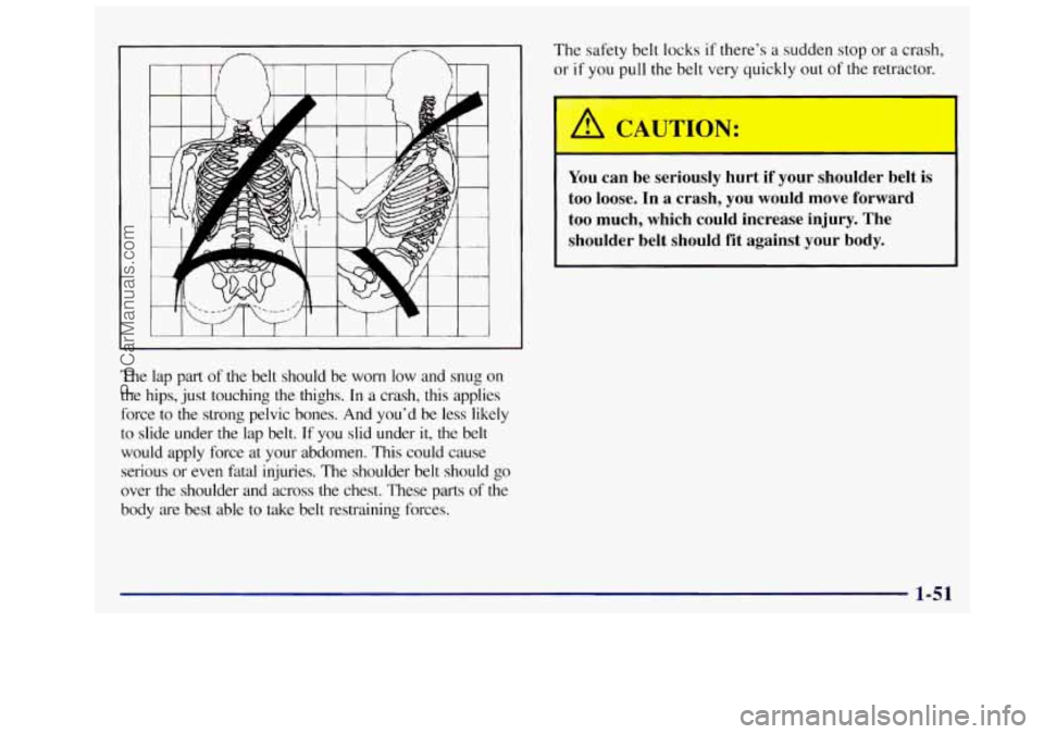 OLDSMOBILE SILHOUETTE 1997 Workshop Manual The lap part of the belt should be worn low and snug on
the hips, just touching the thighs. In a crash, this applies
force
to the strong pelvic bones. And you’d be less likely OLDSMOBILE SILHOUETTE 1997 Workshop Manual The lap part of the belt should be worn low and snug on
the hips, just touching the thighs. In a crash, this applies
force
to the strong pelvic bones. And you’d be less likely