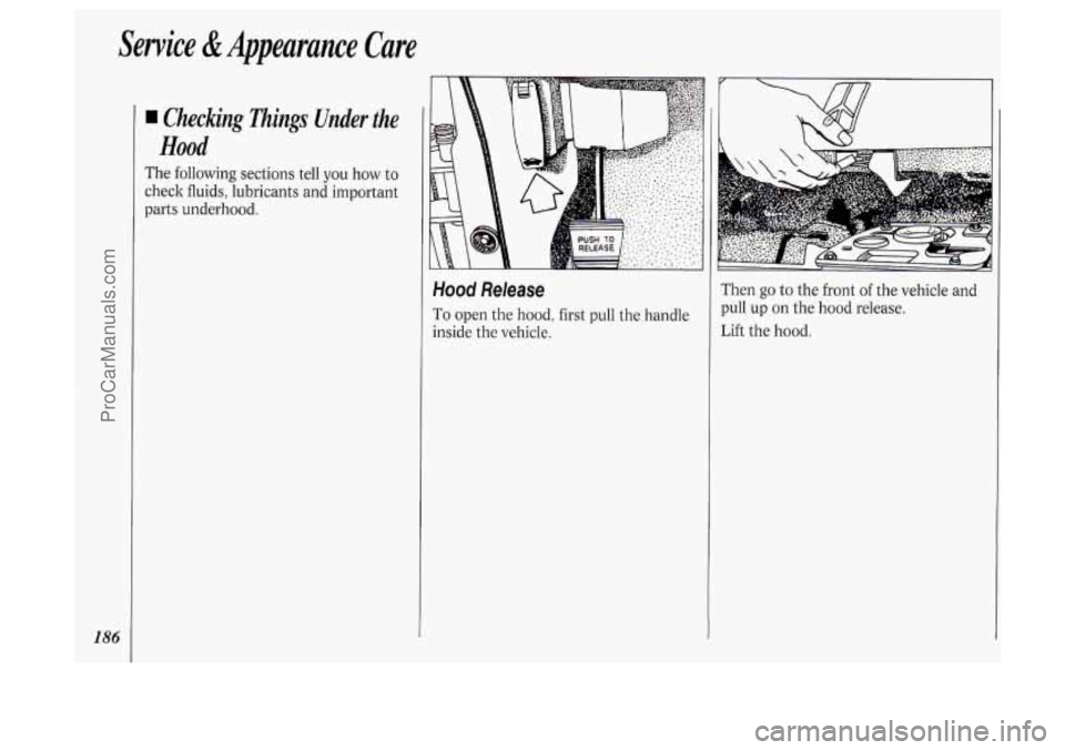 OLDSMOBILE SILHOUETTE 1994 Owners Manual Service & Appeurunce Care
186
Checking Things Under the
Hood
The following sections tell you how to
check fluids, lubricants and important
parts underhood.
Hood Release
To open t OLDSMOBILE SILHOUETTE 1994 Owners Manual Service & Appeurunce Care
186
Checking Things Under the
Hood
The following sections tell you how to
check fluids, lubricants and important
parts underhood.
Hood Release
To open t