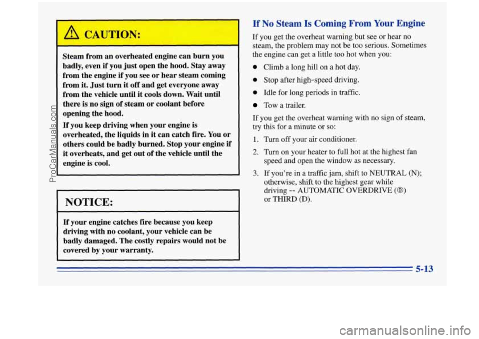 OLDSMOBILE SILHOUETTE 1996 Service Manual /11 CA JTILV: 
Steam  from  an overheated engine can  burn  you 
badly,  even  if  you just open  the hood.  Stay away 
from  the  engine 
if you  see or  hear  steam coming 
from  it. Just  turn 
it 