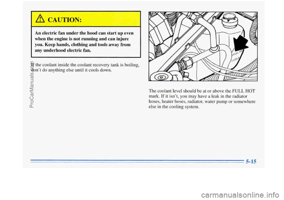 OLDSMOBILE SILHOUETTE 1996  Owners Manual An electric  fan  under  the  hood  can start  up  even 
when  the  engine  is not  running  and  can  injure 
you.  Keep  hands,  clothing  and  tools  away  from 
any  underhood  electric  fan. 
If 