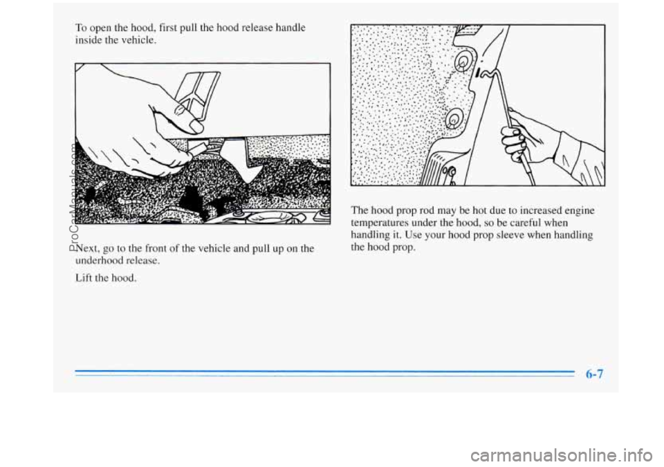 OLDSMOBILE SILHOUETTE 1996 Owners Manual To open the hood, first pull the hood release handle
inside the vehicle.
Next, go to
the front of the vehicle and pull up on the
underhood release.
Lift
the hood. The
hood prop rod may OLDSMOBILE SILHOUETTE 1996 Owners Manual To open the hood, first pull the hood release handle
inside the vehicle.
Next, go to
the front of the vehicle and pull up on the
underhood release.
Lift
the hood. The
hood prop rod may