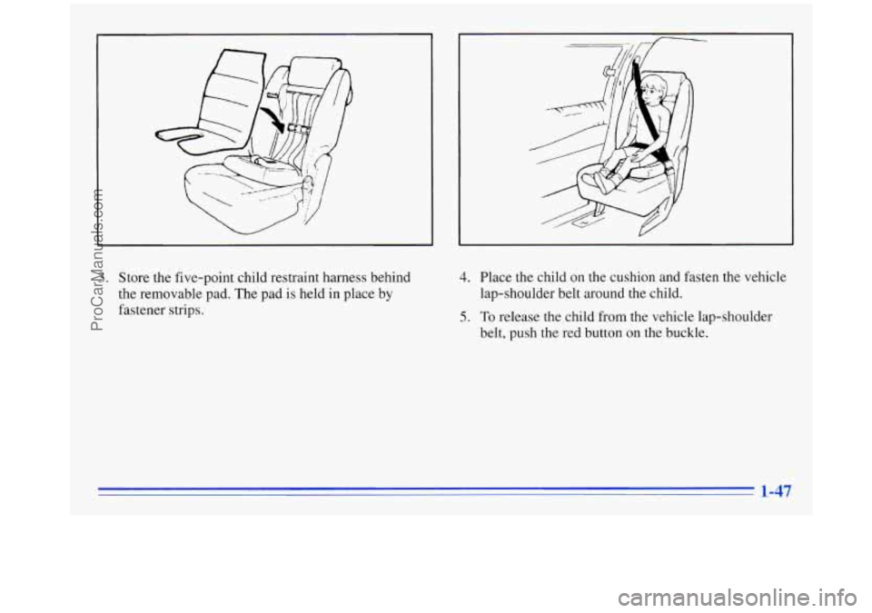 OLDSMOBILE SILHOUETTE 1996 Workshop Manual 3. Store the five-point  child restraint harness behind 
the  removable  pad. The pad is held 
in place  by 
fastener  strips. 
4. Place the child on  the cushion and fasten the vehicle 
lap-shoulder 