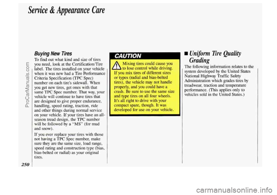 OLDSMOBILE SILHOUETTE 1993 Owners Manual Sewice & Appearance Care
250
Buying New Tires
To find out what kind and size of tires
you need, look at the Certification/Tire
label. The tires installed on your vehicle
when it w OLDSMOBILE SILHOUETTE 1993 Owners Manual Sewice & Appearance Care
250
Buying New Tires
To find out what kind and size of tires
you need, look at the Certification/Tire
label. The tires installed on your vehicle
when it w