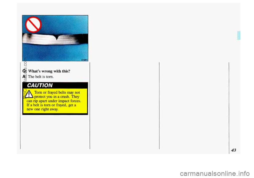 OLDSMOBILE SILHOUETTE 1993 Service Manual Q: Whats wrong with this?
A: The belt is torn.
I Torn or frayed belts may not
protect you in a crash. They
can rip apart under impact forces.
If a belt
is torn or frayed, get a
OLDSMOBILE SILHOUETTE 1993 Service Manual Q: Whats wrong with this?
A: The belt is torn.
I Torn or frayed belts may not
protect you in a crash. They
can rip apart under impact forces.
If a belt
is torn or frayed, get a