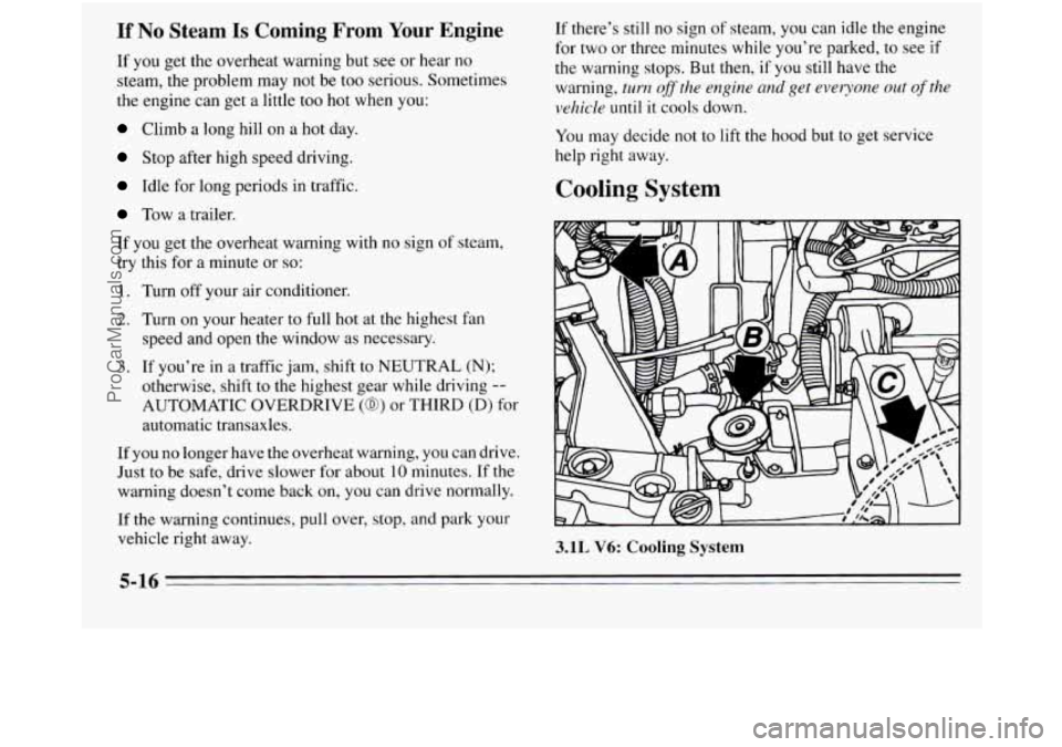 OLDSMOBILE SILHOUETTE 1995  Owners Manual If No Steam Is Coming  From  Your  Engine 
If you  get the overheat warning but  see  or hear no 
steam, the problem  may not be too  serious. Sometimes 
the  engine  can get 
a little  too  hot when 