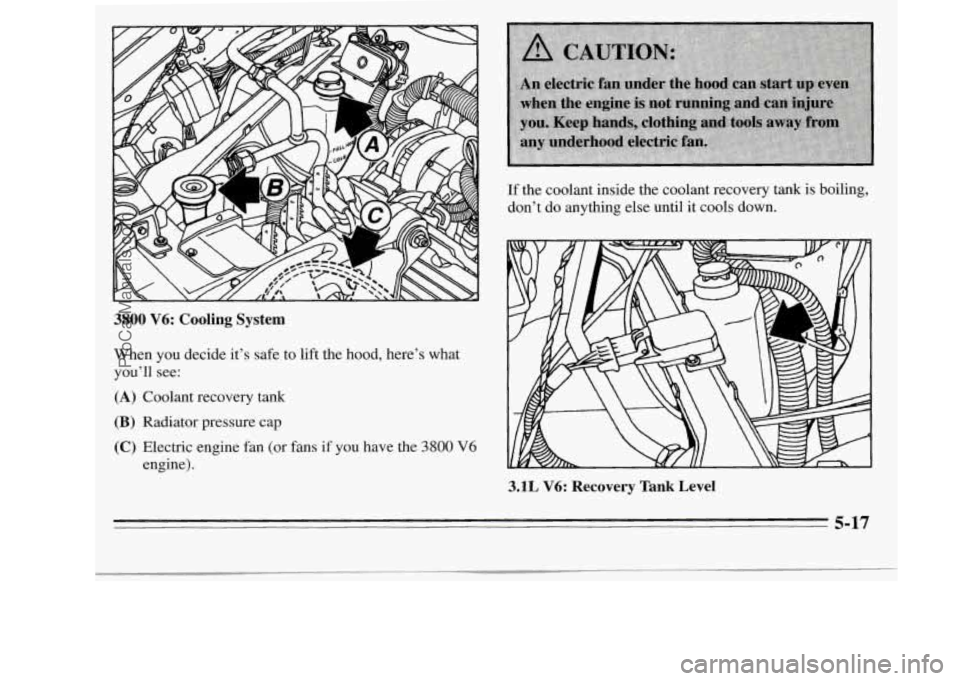 OLDSMOBILE SILHOUETTE 1995 Owners Manual 3800 V6: Cooling System
When you decide it’s safe to lift the hood, here’s what
you’ll see: If
the coolant inside the coolant recovery tank is boiling,
don’t do anything else until OLDSMOBILE SILHOUETTE 1995 Owners Manual 3800 V6: Cooling System
When you decide it’s safe to lift the hood, here’s what
you’ll see: If
the coolant inside the coolant recovery tank is boiling,
don’t do anything else until