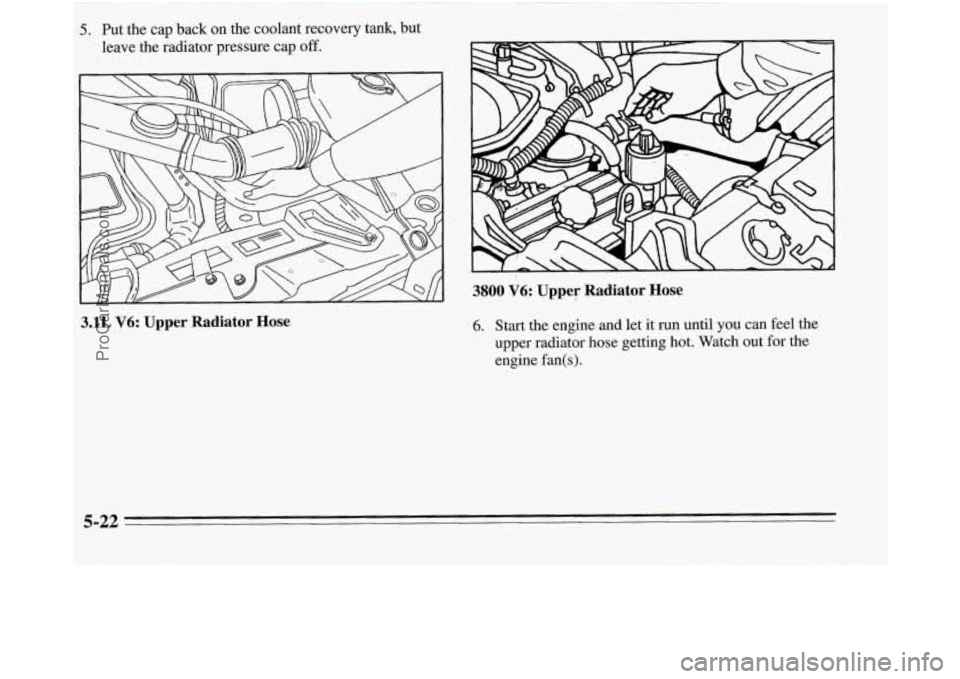 OLDSMOBILE SILHOUETTE 1995 User Guide 3.lL V6: Upper Radiator Hose
5. plTt the cap back on the coolant recovery tank, but
leave .the radi@or pres- cap off.
3800 V6: Upper: * Radiator Hose
6. Start the engine and let it run until OLDSMOBILE SILHOUETTE 1995 User Guide 3.lL V6: Upper Radiator Hose
5. plTt the cap back on the coolant recovery tank, but
leave .the radi@or pres- cap off.
3800 V6: Upper: * Radiator Hose
6. Start the engine and let it run until