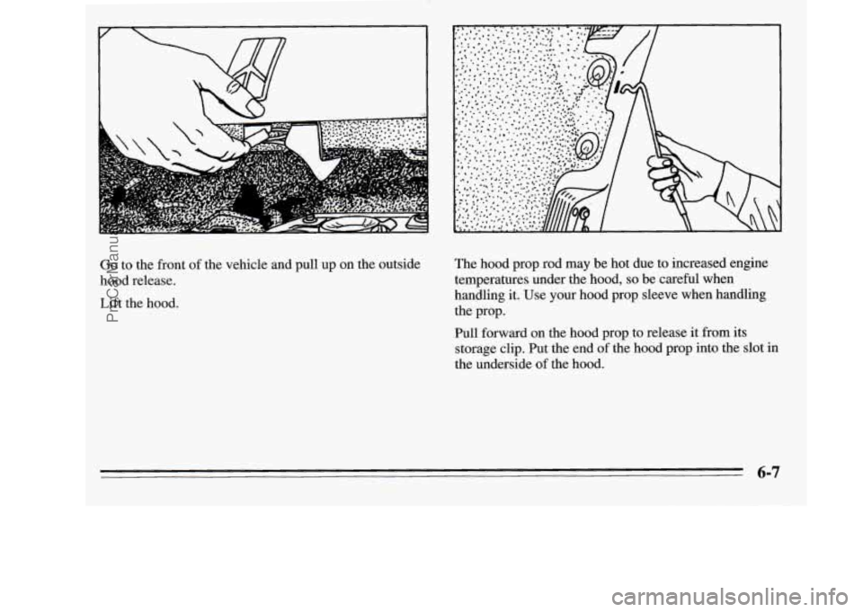 OLDSMOBILE SILHOUETTE 1995 Owners Manual r
Go to the front of the vehicle and pull up on the outside
hood release.
Lift the hood. The
hood prop rod may be hot due to increased engine
temperatures under the hood,
so be c OLDSMOBILE SILHOUETTE 1995 Owners Manual r
Go to the front of the vehicle and pull up on the outside
hood release.
Lift the hood. The
hood prop rod may be hot due to increased engine
temperatures under the hood,
so be c